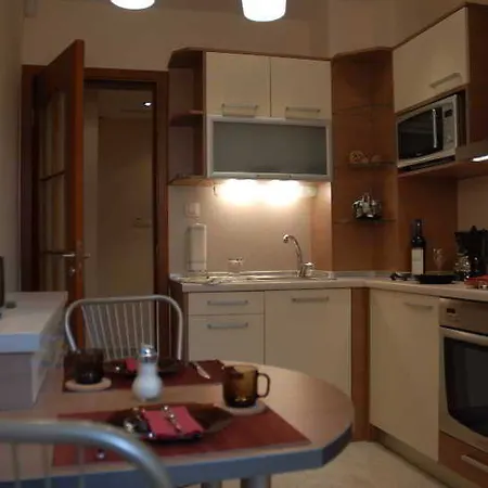 Apartment Vip